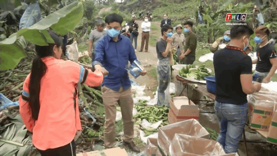 Đảm bảo an toàn dịch bệnh cho các lao động làm thuê tập trung