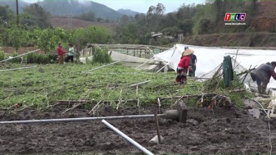Tập trung chỉ đạo khôi phục sản xuất, khắc phục hậu quả do thiên tai gây ra