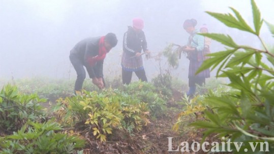Nông dân và doanh nghiệp gặp nhiều khó khăn khi dịch Covid-19 diễn biến phức tạp