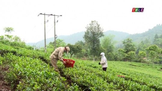 Nỗ lực đảm bảo sản xuất khi dịch bệnh chưa được kiểm soát