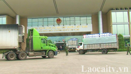 Phương án quản lý hoạt động xuất, nhập khẩu trong giai đoạn cấp bách phòng, chống dịch Covid-19