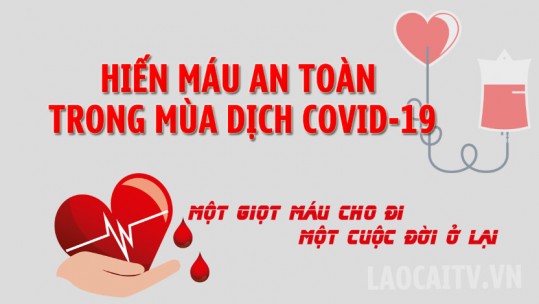 Những lưu ý để hiến máu an toàn trong mùa dịch Covid-19