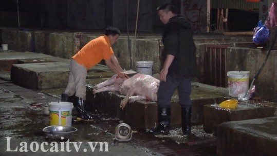 Khó khăn trong xây dựng lò giết mổ gia súc, gia cầm tập trung tại các địa phương