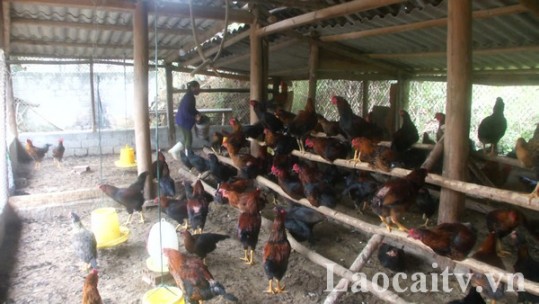 Khắc phục khó khăn, quyết tâm duy trì sản xuất trước diễn biến phức tạp của dịch Covid-19