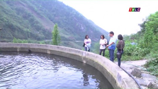 Hệ thống siêu thị Big C khảo sát, thu mua cá nước lạnh trên địa bàn tỉnh