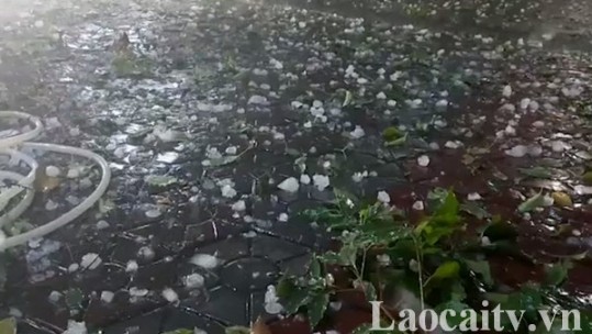 Lào Cai tiếp tục mưa dông diện rộng, người dân cần đề phòng mưa đá, sét đánh