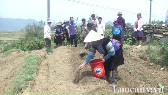 Tri thức trẻ phát huy vai trò tại các hợp tác xã nông nghiệp