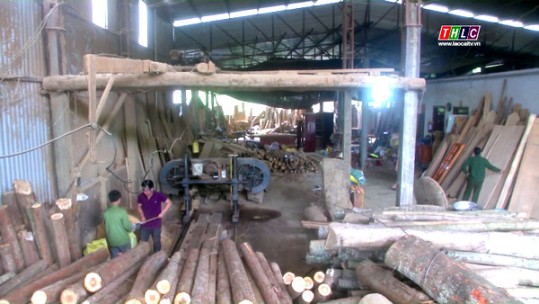 Hiệu quả từ phong trào 