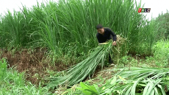 Học và làm theo Bác từ những điều giản dị