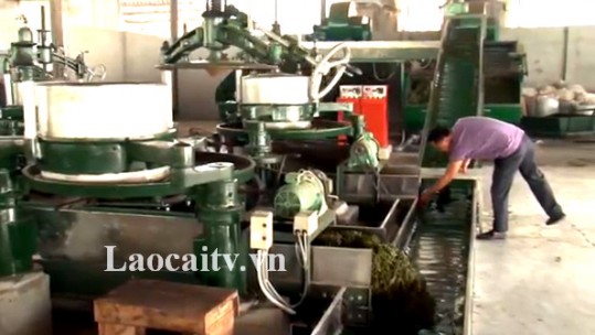 Cần đầu tư xây dựng mạng lưới chế biến bảo quản nông sản sau thu hoạch