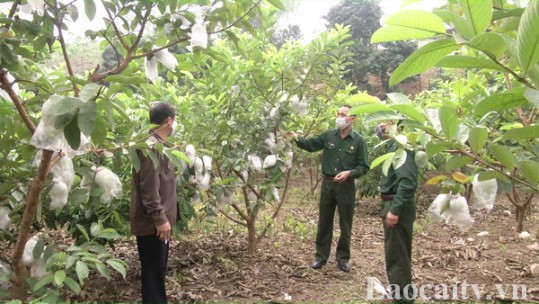 Gieo mầm xanh trên đồng đất quê hương
