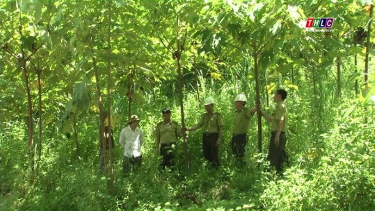 Triển khai thực hiện hiệu quả Chỉ thị 05