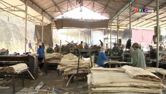 Các sản phẩm lâm nghiệp gặp khó khăn do dịch Covid-19