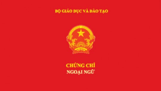 Các đơn vị được tổ chức thi và cấp chứng chỉ ngoại ngữ, tin học
