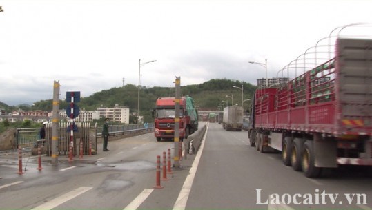 Dành luồng ưu tiên cho phương tiện chở vải thiều xuất khẩu qua Cửa khẩu Kim Thành