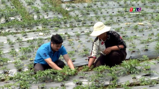 Nhân rộng các mô hình, dự án giảm nghèo