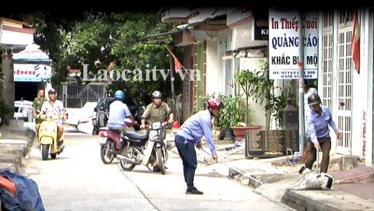 Cần mạnh tay xử lý những trường hợp nuôi chó thả rông ra đường