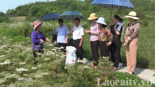 Ứng dụng khoa học công nghệ trong các dự án nông nghiệp – Chìa khóa để thành công