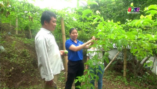 Sử dụng hiệu quả nguồn vốn xây dựng nông thôn mới