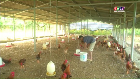 Điểm tựa cho những hộ dân khó khăn