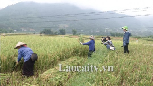 Những “chiến sỹ” trên mặt trận thông tin, tuyên truyền ở cơ sở