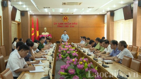 Tăng cường đấu tranh phòng, chống buôn lậu, gian lận thương mại và hàng giả