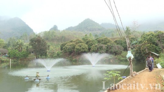 Bảo Thắng tiếp tục đẩy mạnh thâm canh tăng năng suất trong chăn nuôi thủy sản