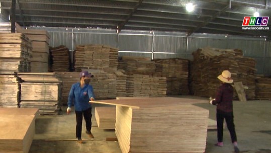 Sản xuất kinh doanh gỗ: Nhiều khó khăn do tác động Covid-19