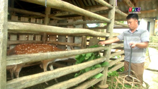 Khát vọng làm giàu trên đồng đất quê hương