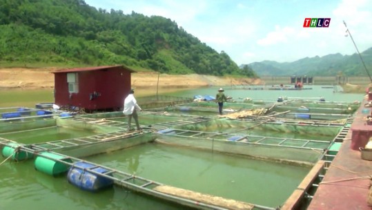 Cốc Ly quyết tâm cán đích nông thôn mới