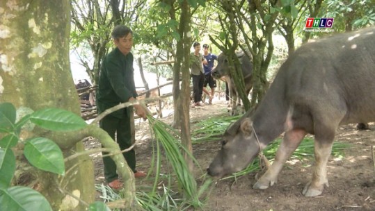 Năng động, sáng tạo để giảm nghèo