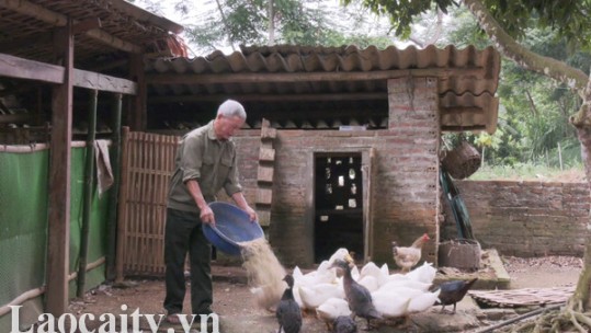 Quan tâm chăm lo cho các gia đình thương binh, liệt sỹ