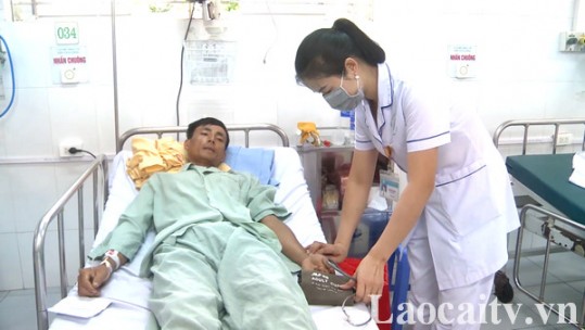Ăn nhầm ngọn cà độc dược, 3 người phải nhập viện