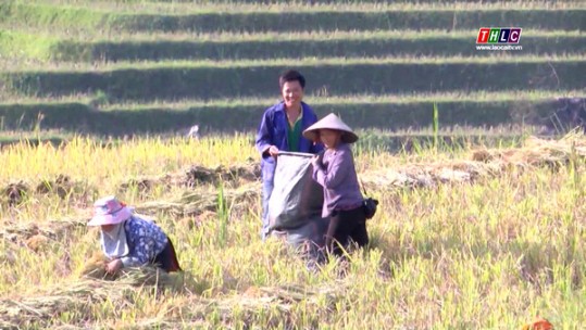 Sa Pa nỗ lực nâng cao thu nhập cho người dân