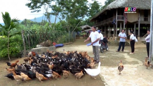 Nông dân Lào Cai thi đua phát triển kinh tế