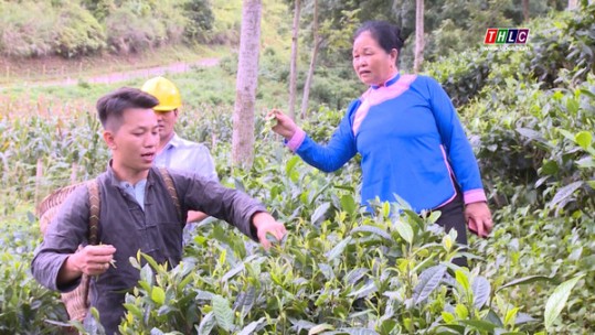 Cán bộ mặt trận có uy tín trong cộng đồng người Giáy