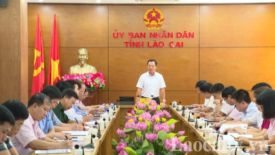 Ngân hàng Chính sách xã hội tỉnh đảm bảo đáp ứng tốt nhu cầu vay vốn của các đối tượng