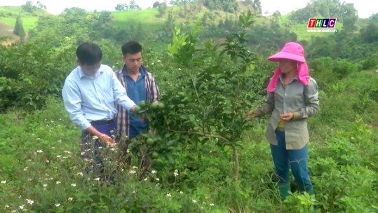 Gieo hy vọng trên vùng đất khó