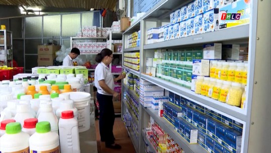 Tăng cường quản lý thuốc thú y và thức ăn chăn nuôi