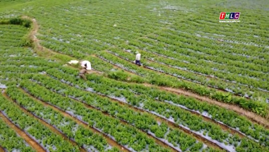 Nhân lên khát vọng làm giàu