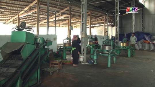 Nâng cao trách nhiệm của doanh nghiệp trong lĩnh vực chế biến chè