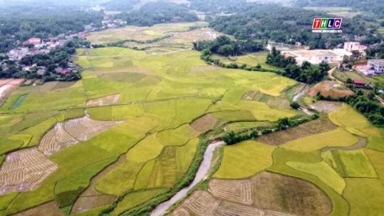 Điểm sáng trong xây dựng nông thôn mới