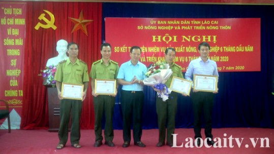 Phấn đấu tổng sản lượng lương thực cả năm đạt trên 340.000 tấn