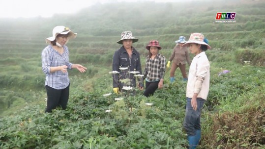 Tạo sức bật cho sản xuất nông nghiệp từ việc ứng dụng khoa học kỹ thuật