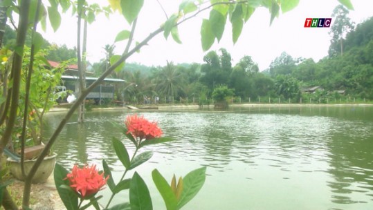 Nông dân Trì Quang sáng tạo trong phát triển kinh tế