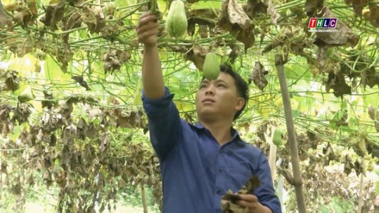 Hỗ trợ phát triển sinh kế cho người dân vùng cao
