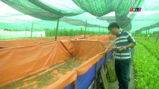 Những ý tưởng khởi nghiệp mới