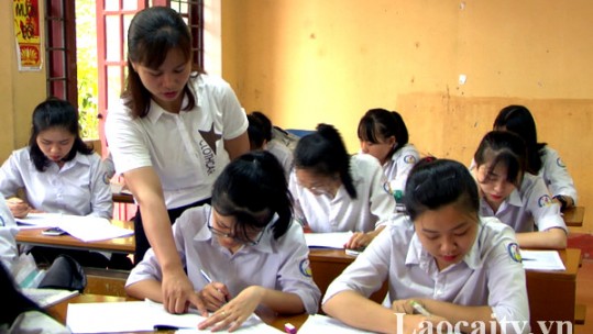 Lào Cai tuyển 52 giáo viên hợp đồng cho năm học mới