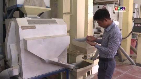 Nâng tầm giá trị hạt gạo Séng cù