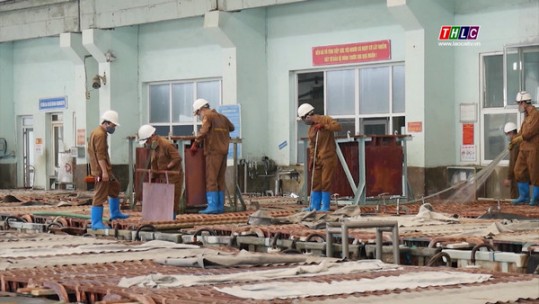 Sử dụng năng lượng tiết kiệm hiệu quả vì nền kinh tế xanh
